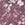 Printed Mock Neck Mesh Top - Image 5